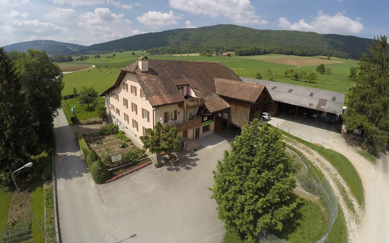 Hôtel-Gîte rural à 3 km de Delémont Courcelon Exterior foto